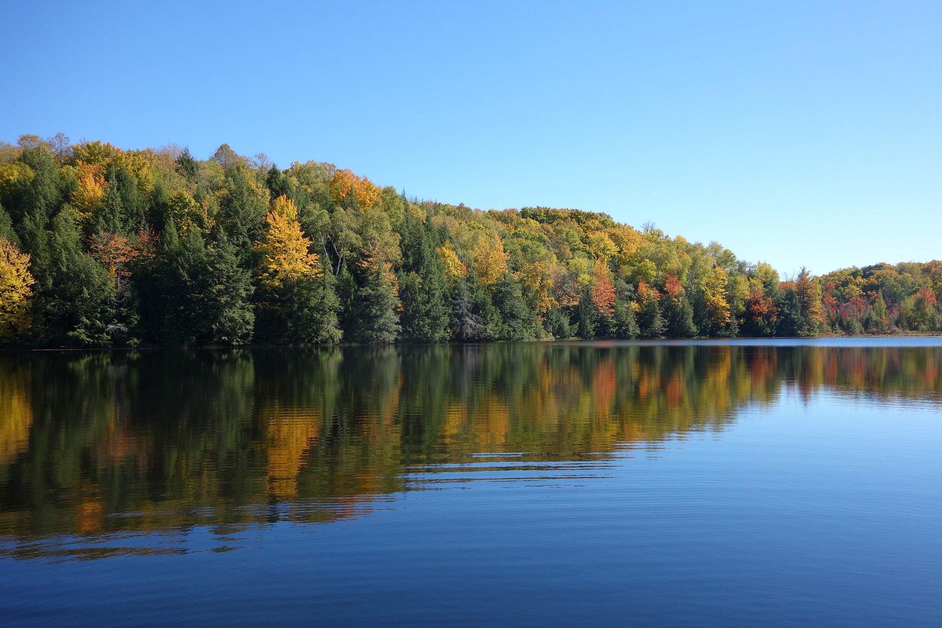 PICKEREL lake wi